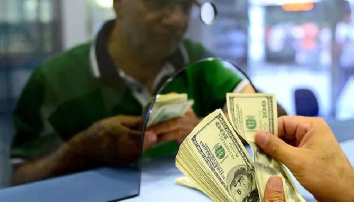 parayi-enflasyona-karsi-korumak